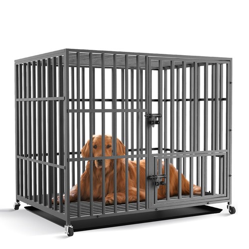Bingopaw heavy duty pet dog - duty,