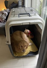 Dog Travel Crate - XXL